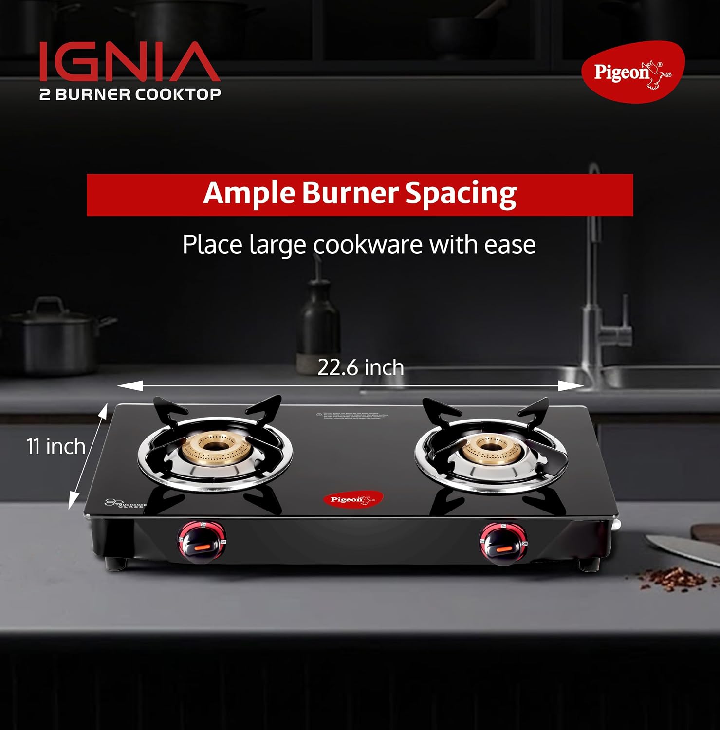 Pigeon 2 Burner Glass Gas Stove